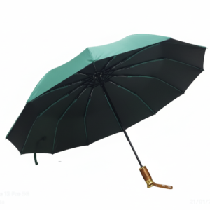 শংকর ১২ শিক BMW ওটোক্লোজ (৫+৬) রিবস ছাতা - STU 634